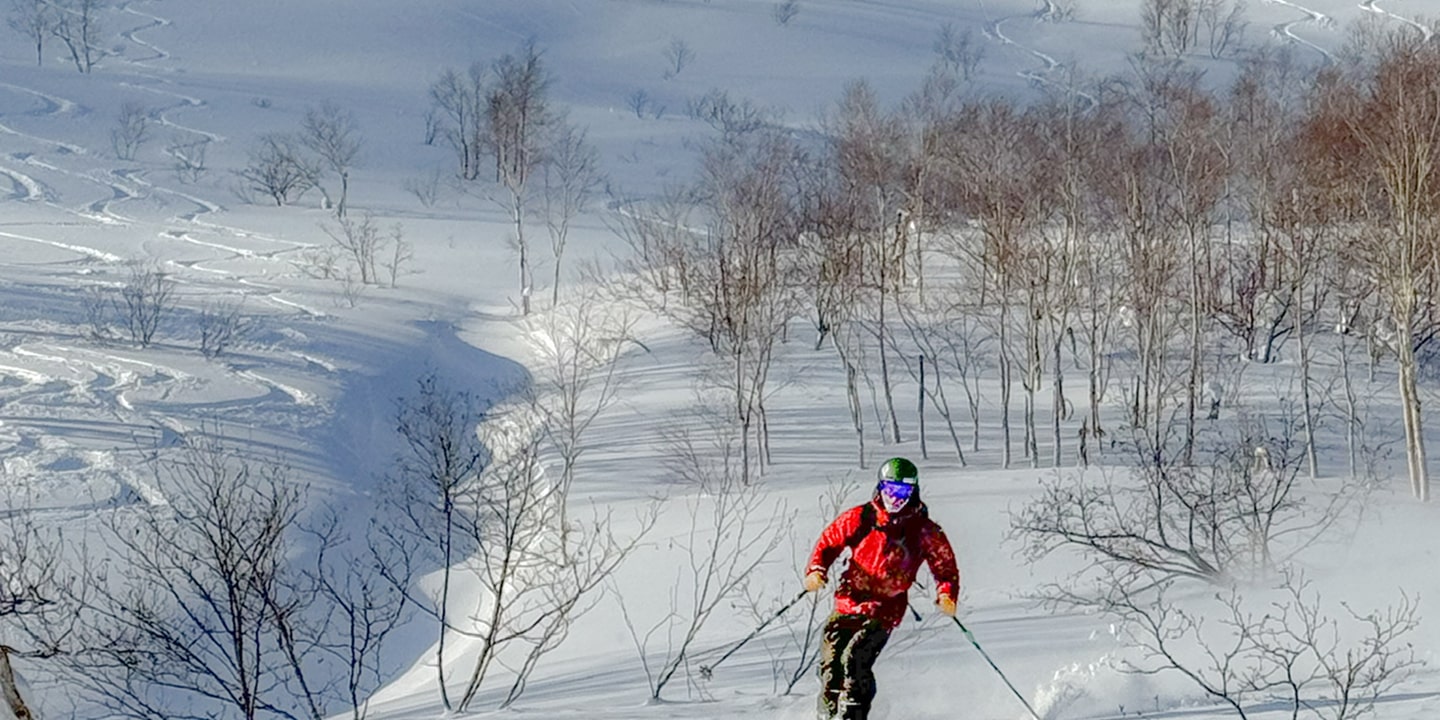 A man in japan skis through trees