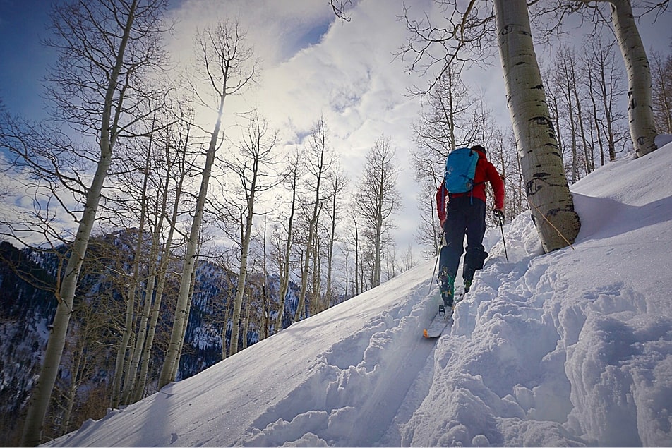 A man skins up a mountain through trees while backcountry skiing