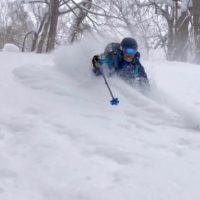 japan ski tours reviews