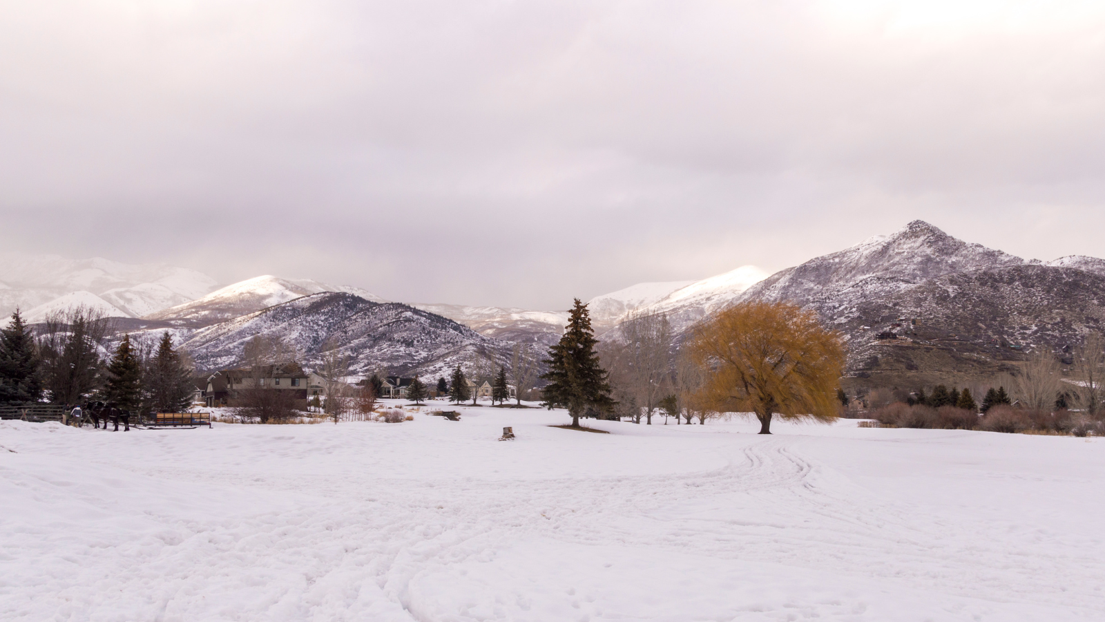 An open snow covered field with mountains in the background