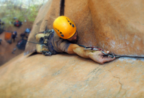 Guided climbing trips Utah - Red River Adventures